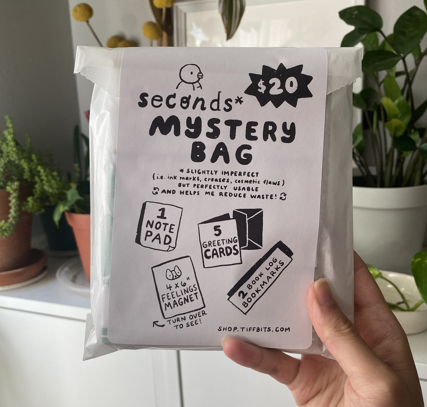 Packaged mystery bag