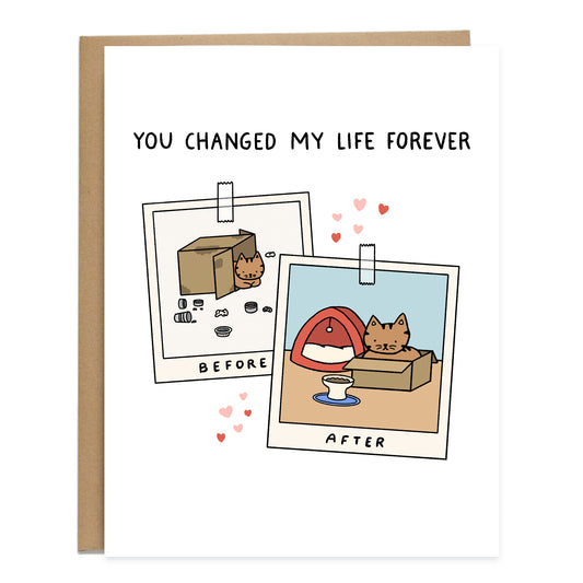 The card at the top reads, you changed my life forever. Underneath is a drawing of two polaroids, one has "before" written on the bottom with a photo of a cat inside a cardboard box surrounded by garbage and an open can of cat food. The polaroid overlapped in front of it reads "after", with the same cat sitting inside of a cardboard box next to an unused cat bed looking at cat food in an elevated cat bowl