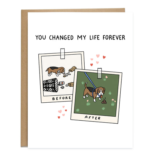 The card at the top reads, you changed my life forever. Underneath is a drawing of two polaroids, one has "before" written on the bottom with a photo of a beagle eating leftover chicken pieces surrounded by garbage. The polaroid overlapped in front of it reads "after", with the same dog on a leash in a grassy field, looking up at its human about to eat dog poop