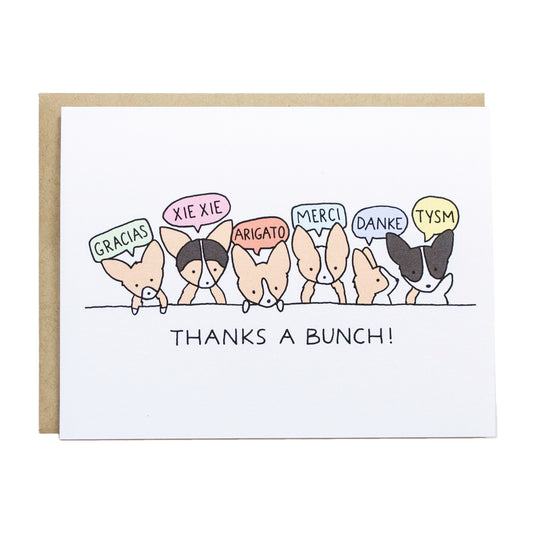 a line of corgis with different colored quote bubbles that says thank you in different languages (gracias, xie xie, arigato, merci, danke, tysm)