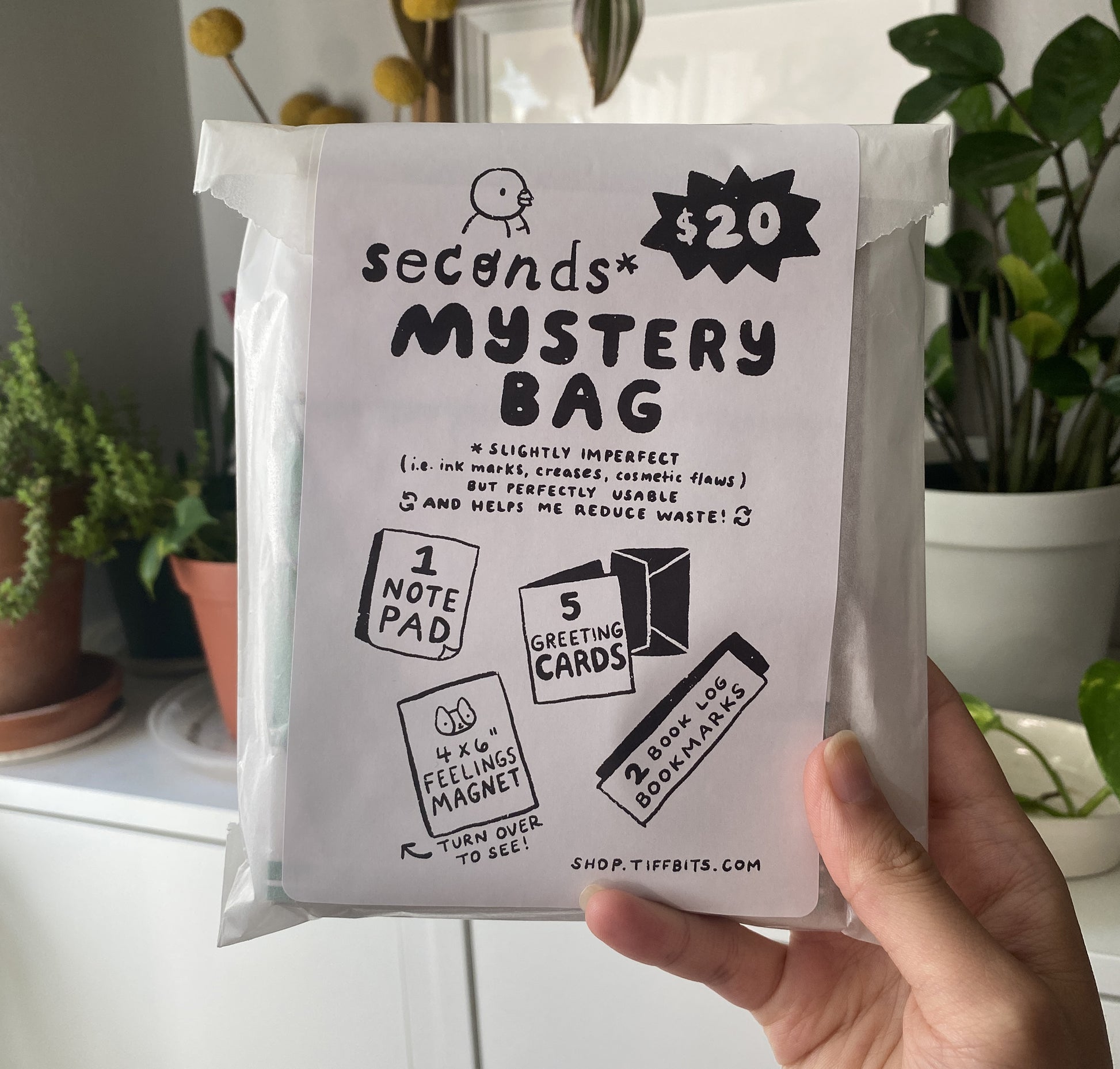 Packaged mystery bag