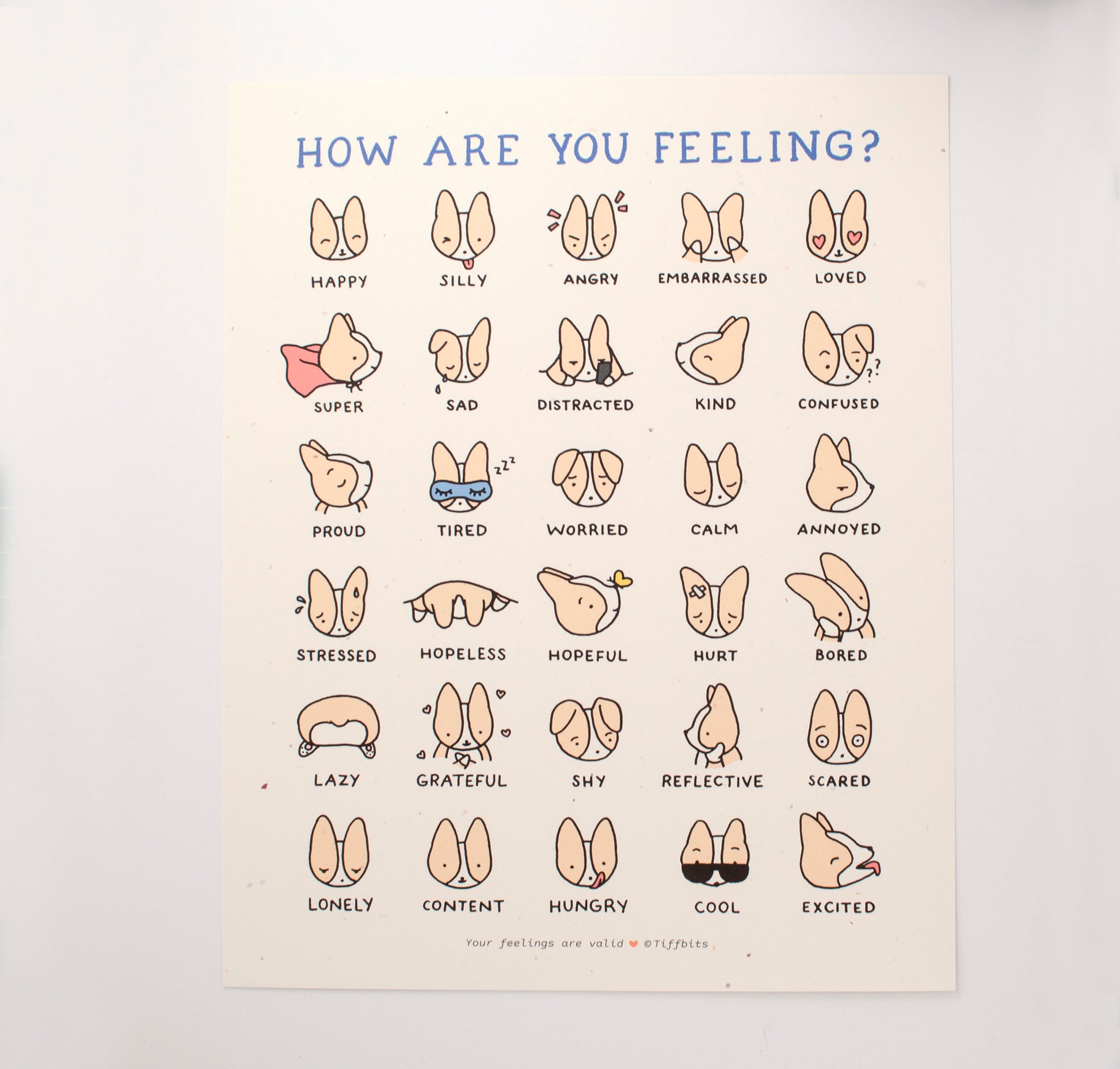 Print that reads, how are you feeling, on the top in blue. A chart of drawings of 30 corgi faces showing 30 different emotions